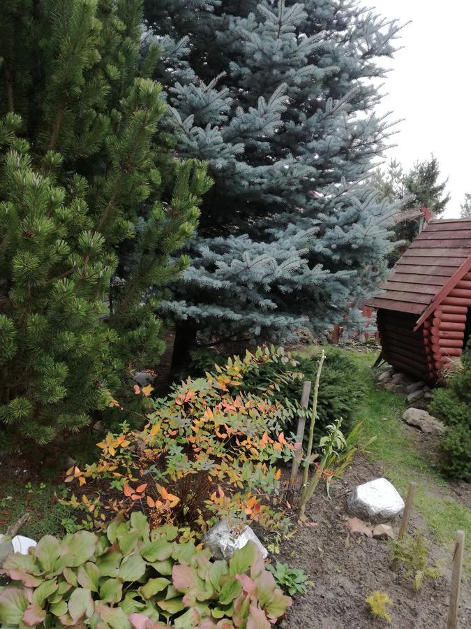 Guest House Uyutnyy Brest Dış mekan fotoğraf